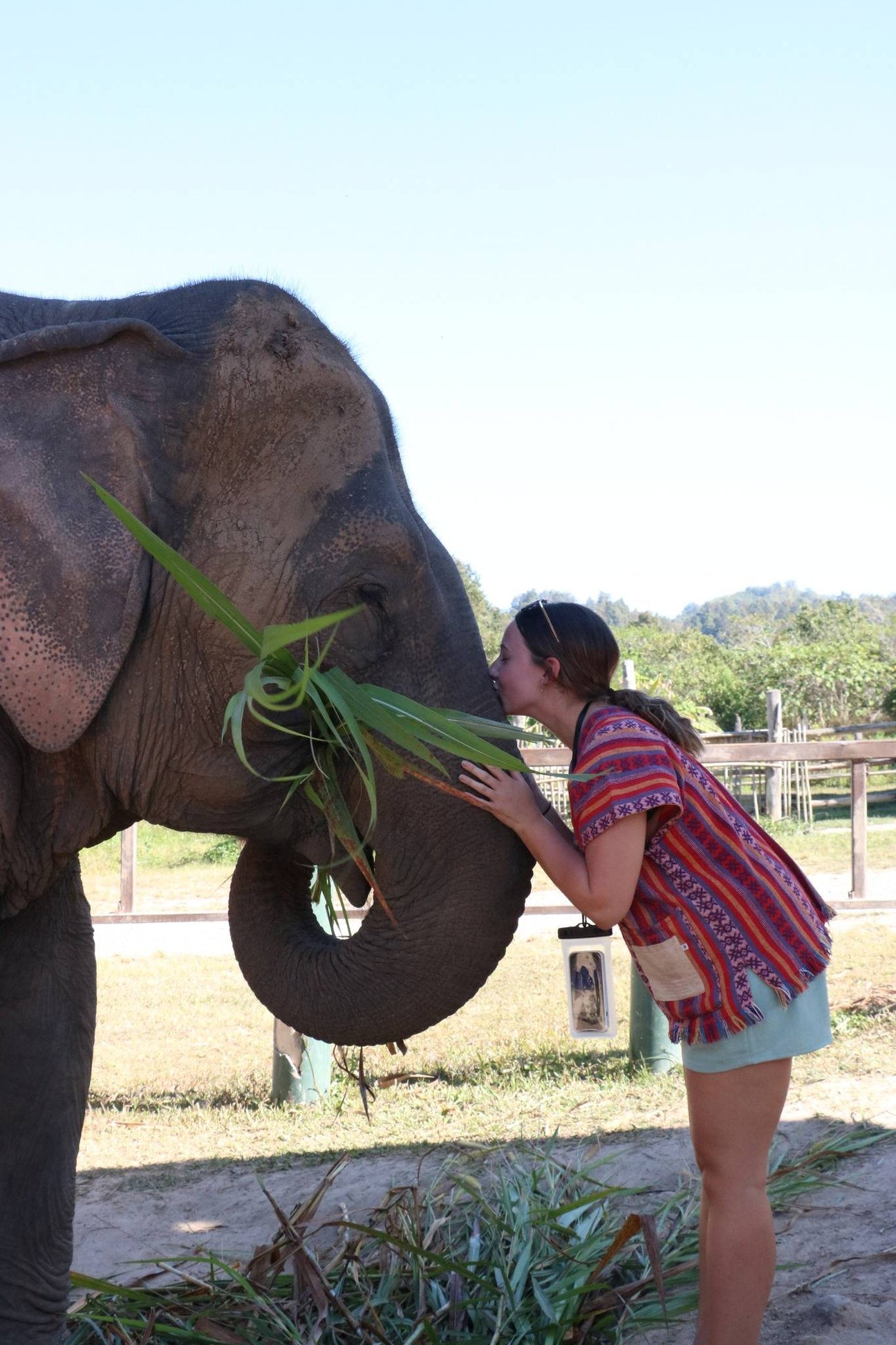 CHIANG MAI: Elephant Tour | Chiangrai Tour | Muay Thai