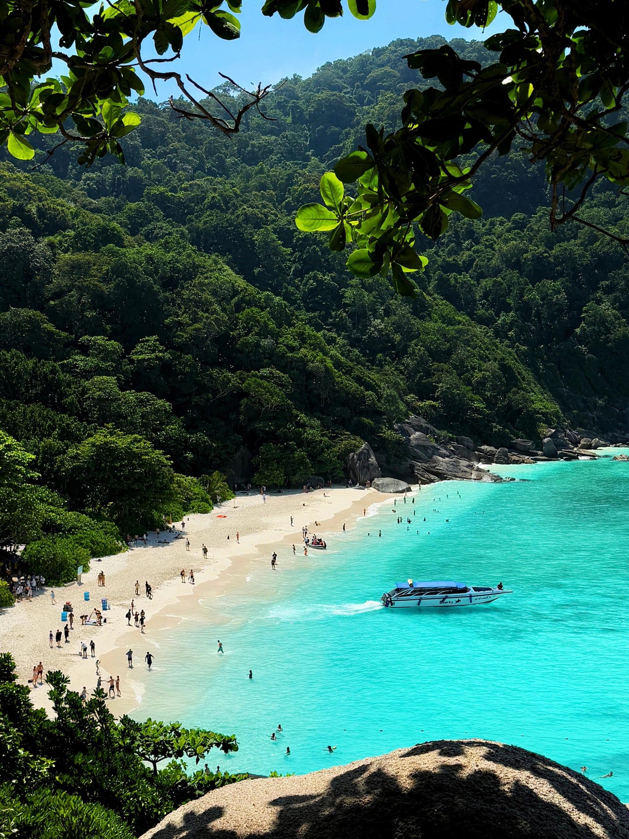 Similan Islands Tour
