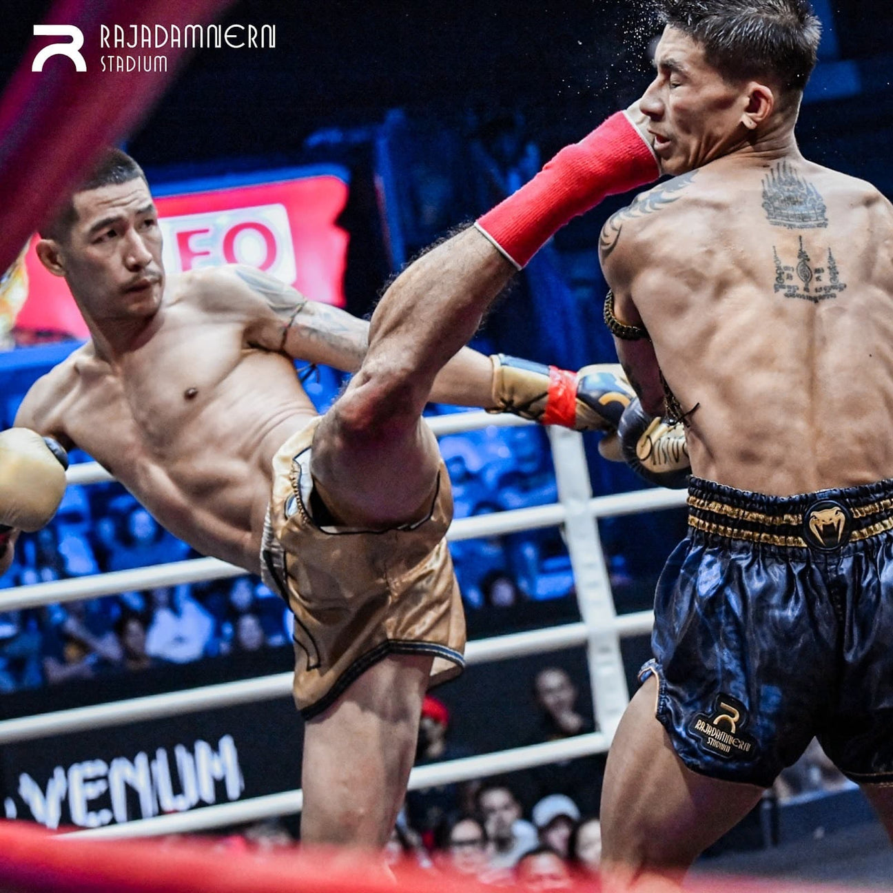Muay Thai Collection