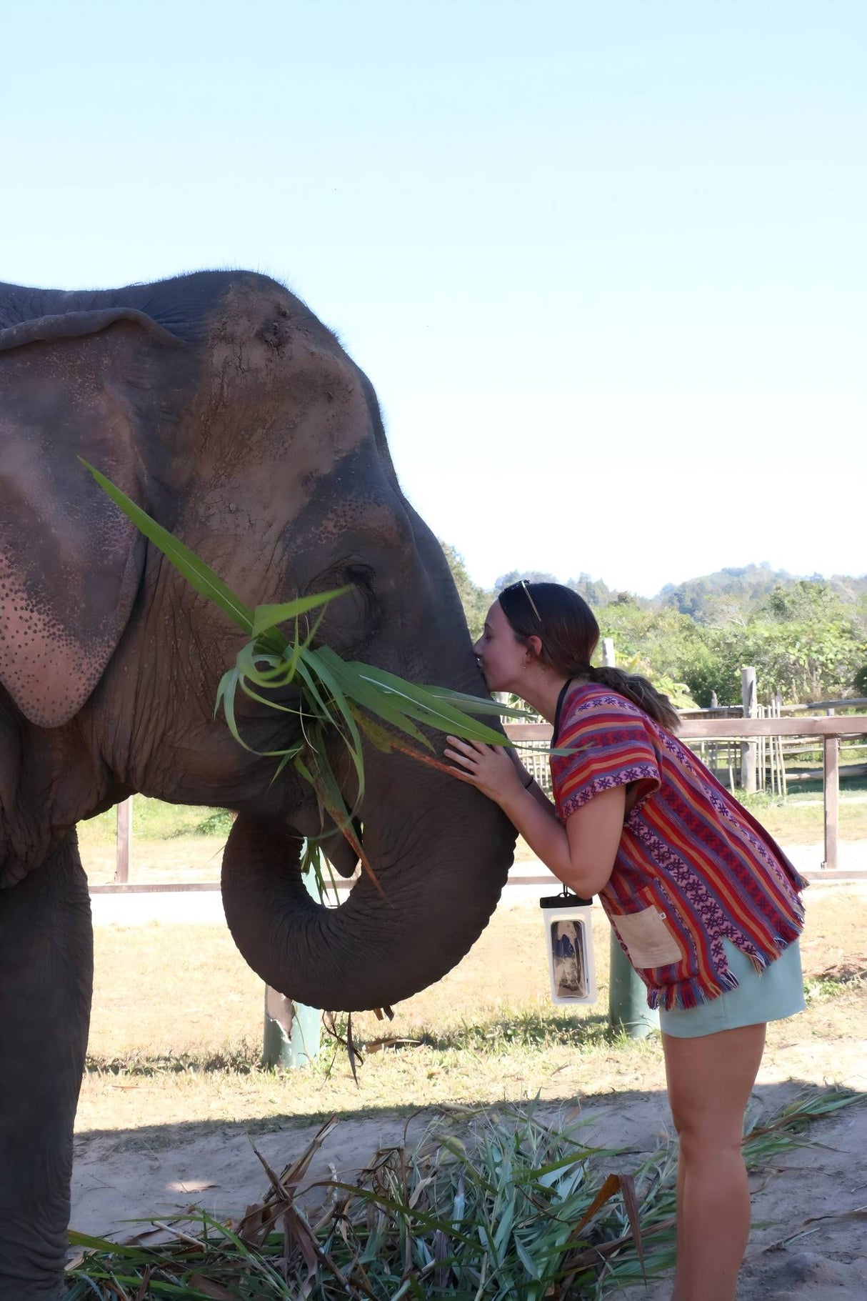 Elephant Jungle Sanctuary in ChiangMai