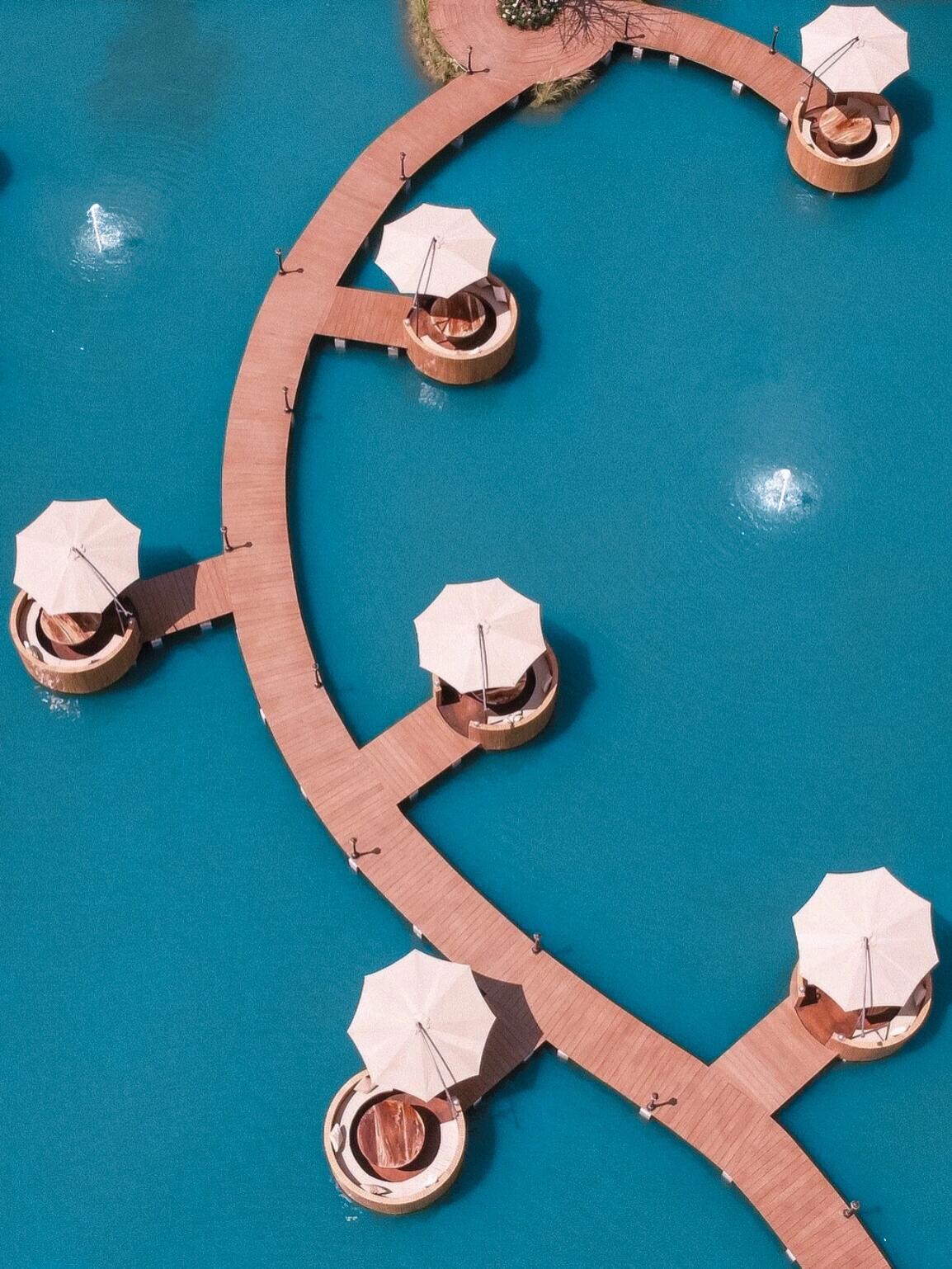 The Bubble in the Forest