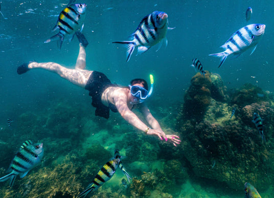 Pattaya Jetski Tour-Diverse Marine Life