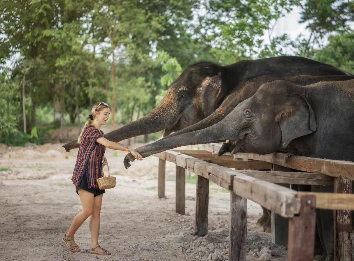 Elephant Jungle Sanctuary in ChiangMai