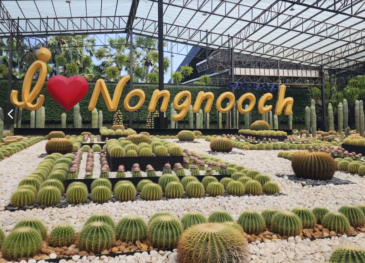 Pattaya Day Tour: Sanctuary of Truth & Nong Nooch Botanical Garden with Private Car
