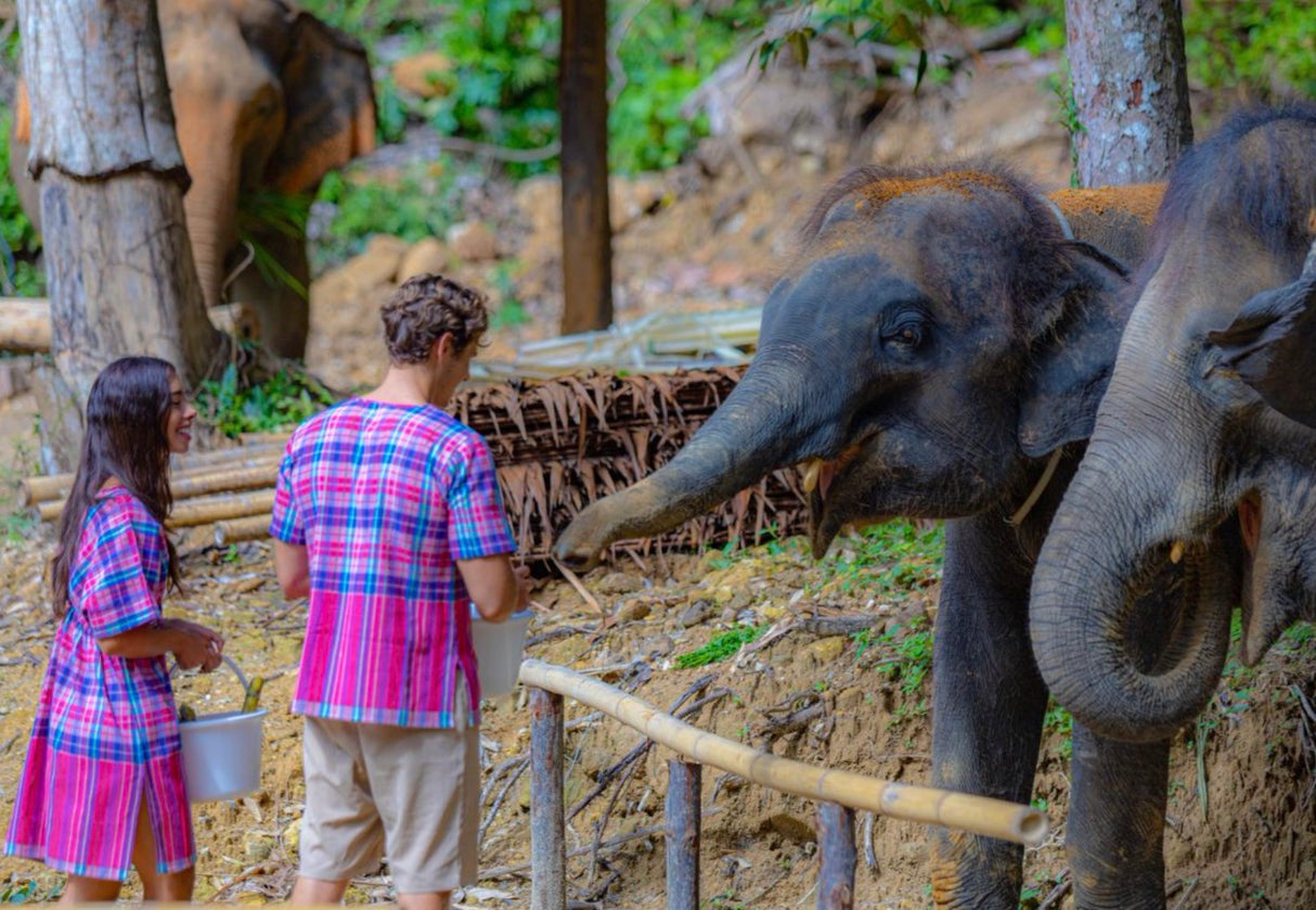 Phuket Elephant Sanctuary Booking : Patong Elephant Hug