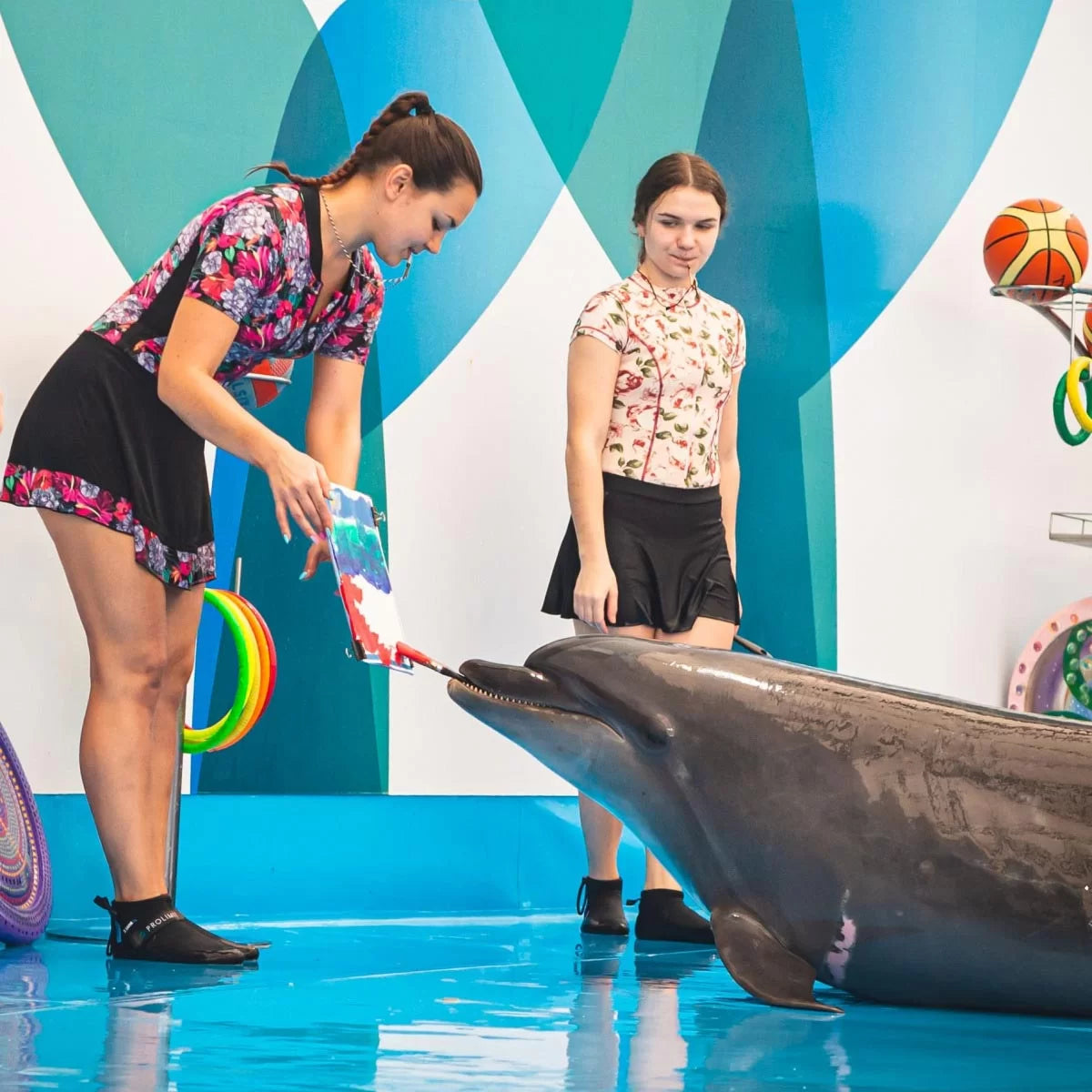 Pattaya Dolphinarium