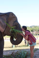 Chiangmai