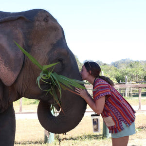 Elephant Tour(Phuket)