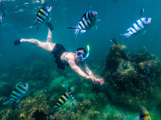 Pattaya Jetski Tour-Diverse Marine Life