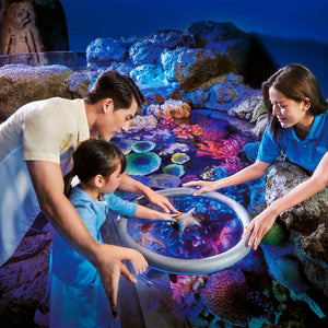 Bangkok Attraction&Show Tickets
