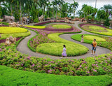 Pattaya Day Tour: Sanctuary of Truth & Nong Nooch Botanical Garden with Private Car