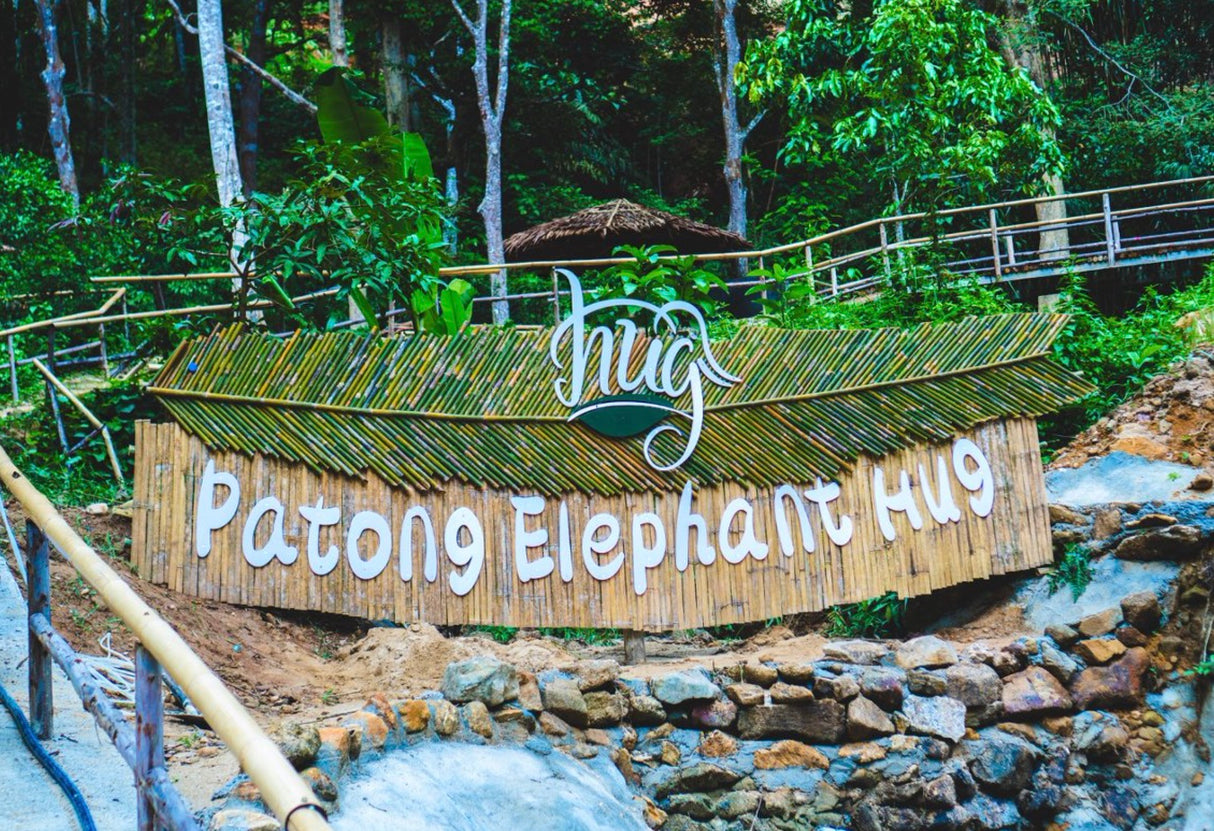 Phuket Elephant Sanctuary Booking : Patong Elephant Hug