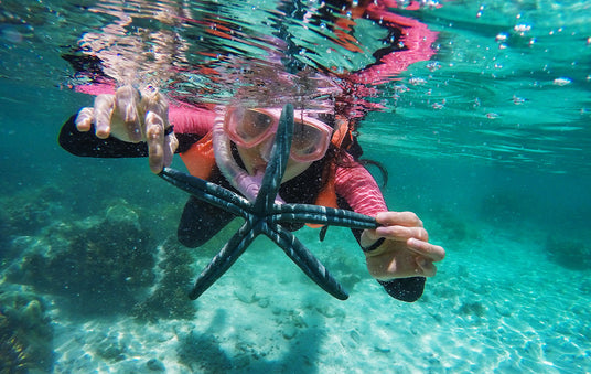 snorkeling and diving